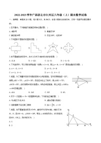 2022-2023学年广西崇左市江州区八年级（上）期末数学试卷(含解析）