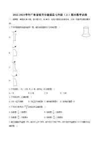 2022-2023学年广东省韶关市翁源县七年级（上）期末数学试卷(含解析）