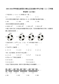 2023-2024学年湖北省武汉市青山区任家路中学七年级（上）月考数学试卷（10月份）(含解析）