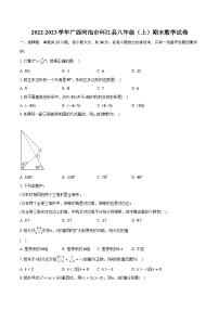 2022-2023学年广西河池市环江县八年级（上）期末数学试卷(含解析）