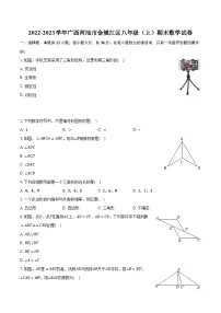 2022-2023学年广西河池市金城江区八年级（上）期末数学试卷(含解析）
