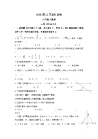 四川省成都市第四十三中学校2023-2024学年八年级上学期12月月考数学试题