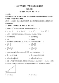 2024年上海市杨浦区中考一模数学试题