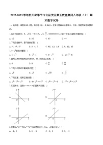 2022-2023学年贵州省毕节市七星关区第五教育集团八年级（上）期末数学试卷（含解析）