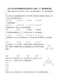 2022-2023学年河南省安阳市林州市八年级（上）期末数学试卷（含解析）