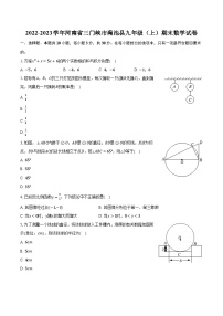 2022-2023学年河南省三门峡市渑池县九年级（上）期末数学试卷（含解析）