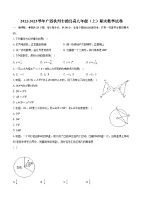 2022-2023学年广西钦州市浦北县九年级（上）期末数学试卷（含解析）