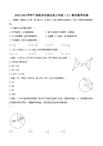 2022-2023学年广西钦州市浦北县九年级（上）期末数学试卷（含解析）