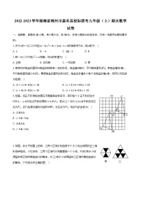 2022-2023学年湖南省郴州市嘉禾县校际联考九年级（上）期末数学试卷（含解析）