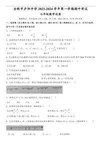安徽省合肥市庐阳中学2023-2024学年七年级上学期数学期中试题