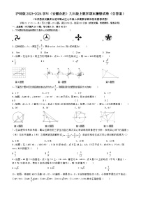 安徽省合肥市蜀山区2023-2024学年九年级上学期沪科版数学期末猜想试卷