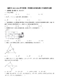 吉林省长春市榆树市2023-2024学年八年级上学期12月期末数学试题