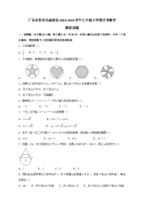 广东省韶关市翁源县2023-2024学年九年级上册月考数学模拟试卷（附答案）