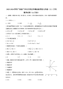 广东省广州市天河区华美实验学校2023-2024学年七年级上学期月考数学试卷（11月份）