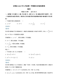 湖南省娄底市双峰县2023-2024学年九年级上学期期末数学试题