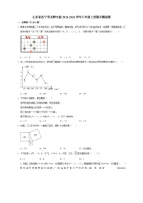 山东省济宁市 2023-2024学年北师大版八年级数学上册期末模拟试题