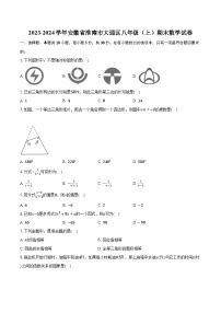 2023-2024学年安徽省淮南市大通区八年级（上）期末数学试卷(含解析）