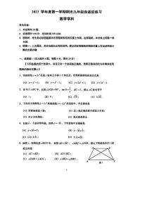 2024届上海市普陀区初三一模数学试卷含答案解析