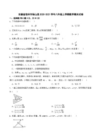 安徽省宿州市砀山县2020-2021学年八年级上学期数学期末试卷