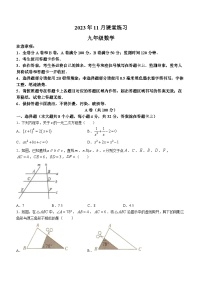 四川省成都市2023-2024学年九年级上学期期中数学试题