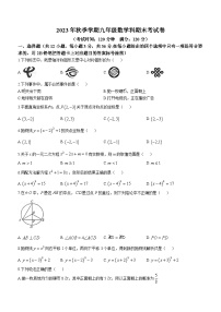 广西壮族自治区防城港市防城区2023-2024学年九年级上学期期末数学试题