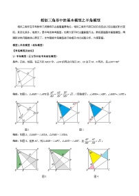 相似三角形中的基本模型之半角模型（解析版）