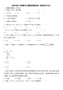 北师大版数学八年级上册精品期末复习考试卷（含详细解析）