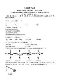 辽宁省阜新市彰武县2023-2024学年九年级上学期期末数学试题