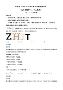 河南省驻马店市平舆县2023-2024学年九年级上学期12月月考数学试题