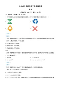 河南省驻马店市正阳县2023-2024学年八年级上学期12月月考数学试题