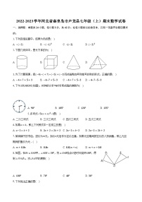 2022-2023学年河北省秦皇岛市卢龙县七年级（上）期末数学试卷（含解析）