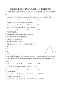 2023-2024学年贵州省毕节市八年级（上）期末数学试卷（含解析）