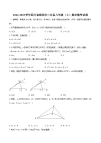 2022-2023学年四川省绵阳市三台县八年级（上）期末数学试卷（含解析）