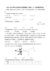 2022-2023学年山东省枣庄市薛城区八年级（上）期末数学试卷（含解析）