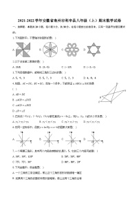 2021-2022学年安徽省亳州市利辛县八年级（上）期末数学试卷（含解析）