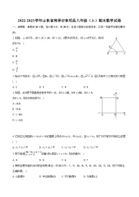 2022-2023学年山东省菏泽市东明县八年级（上）期末数学试卷（含解析）