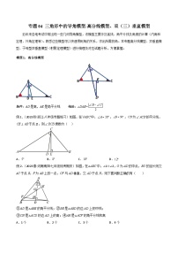 专题04 三角形中的导角模型-高分线模型、双（三）垂直模型-2024年中考数学常见几何模型全归纳之模型解读与提分精练（全国通用）