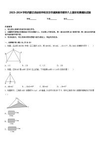 2023-2024学年内蒙古自治区呼伦贝尔市满洲里市数学八上期末经典模拟试题含答案