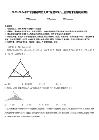 2023-2024学年北京首都师范大第二附属中学八上数学期末监测模拟试题含答案