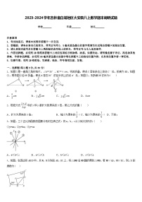 2023-2024学年吉林省白城地区大安县八上数学期末调研试题含答案