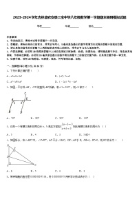 2023-2024学年吉林省农安县三宝中学八年级数学第一学期期末调研模拟试题含答案