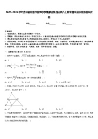 2023-2024学年吉林省松原市前郭尔罗斯蒙古族自治县八上数学期末达标检测模拟试题含答案