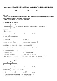 2023-2024学年吉林省长春市东北师大附中(明珠校区)八上数学期末监测模拟试题含答案