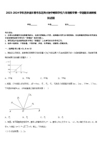 2023-2024学年吉林省长春市东北师大附中明珠学校八年级数学第一学期期末调研模拟试题含答案