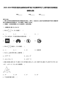 2023-2024学年四川省凉山彝族自治州宁南三峡白鹤滩学校八上数学期末质量跟踪监视模拟试题含答案