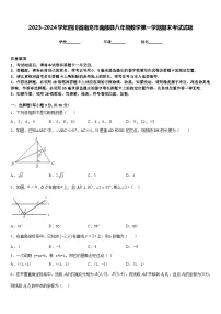 2023-2024学年四川省南充市南部县八年级数学第一学期期末考试试题含答案
