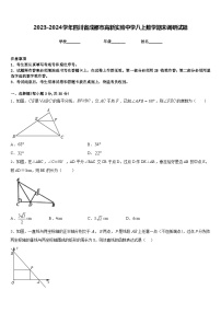 2023-2024学年四川省成都市高新实验中学八上数学期末调研试题含答案