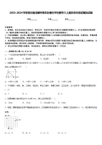 2023-2024学年四川省成都市青羊区部分学校数学八上期末综合测试模拟试题含答案