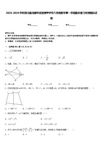 2023-2024学年四川省成都市双流黄甲中学八年级数学第一学期期末复习检测模拟试题含答案