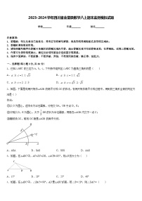 2023-2024学年四川省金堂县数学八上期末监测模拟试题含答案